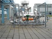 Banatski dvor slika07